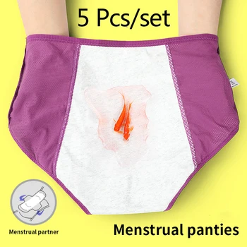 5db/Set Menstruációs Bugyi Nők Időszak Fehérnemű Szexi bugyi Élettani Fehérnemű Plusz Méret Rövidnadrág Dropshipping Ingyenes Szállítás